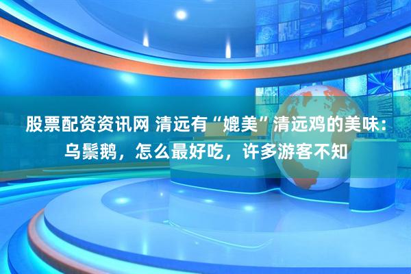 股票配资资讯网 清远有“媲美”清远鸡的美味：乌鬃鹅，怎么最好吃，许多游客不知