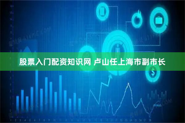 股票入门配资知识网 卢山任上海市副市长