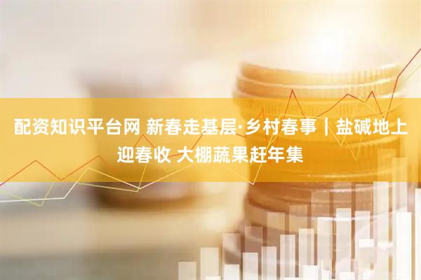 配资知识平台网 新春走基层·乡村春事｜盐碱地上迎春收 大棚蔬果赶年集