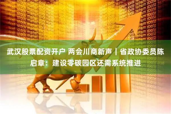 武汉股票配资开户 两会川商新声｜省政协委员陈启章：建设零碳园区还需系统推进