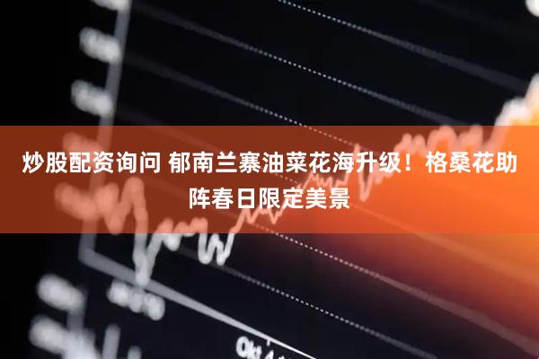 炒股配资询问 郁南兰寨油菜花海升级！格桑花助阵春日限定美景